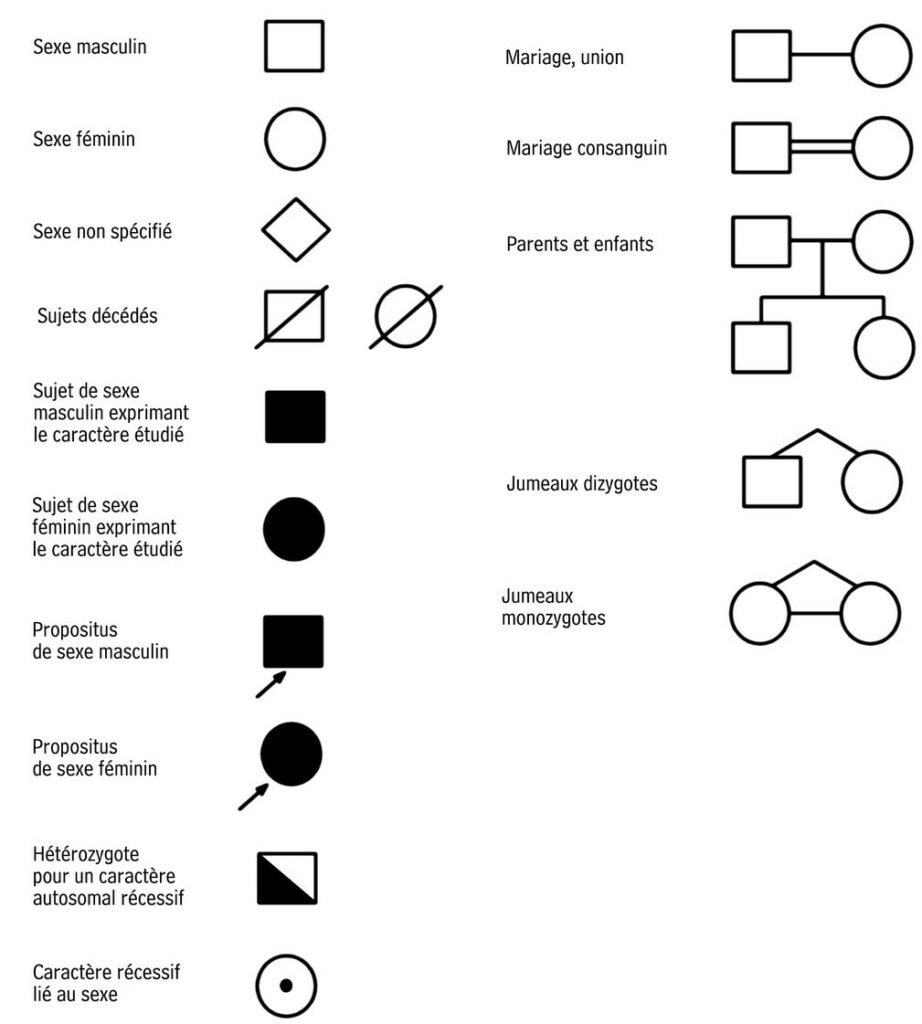 Symboles pour arbre généalogique en génétique